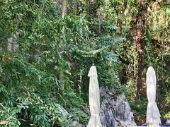 -龙井壹号·茶缘山景宴(龙井村店)