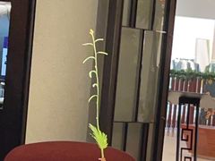 -三利音·玖弄小鲜(浦东嘉里城店)