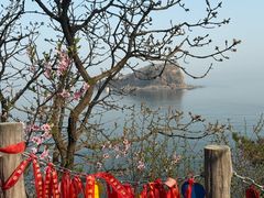 -棒棰岛宾馆景区