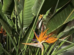 -国家植物园南园