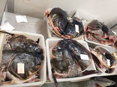 -雪野鱼头大王邢府公老店(雪野湖店)