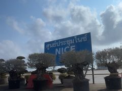 -东芭乐园