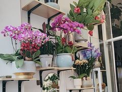 -FEI FEI FLOWER鲜花店·气球派对·宝宝宴布置(虹口德必运动Loft店)