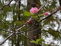-共青国家森林公园-售票处