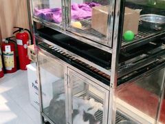 -瑞鹏宠物医院·夜间急症·心超·猫科(祖庙分店)