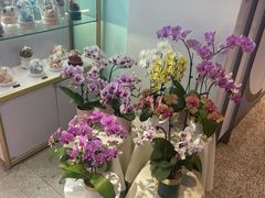-EPOQUE·一刻花店(兴业太古汇店)