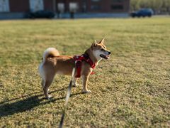 -山下C5cafe(惠通时代广场店)