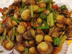 辣炒小扇贝-双井轩(双井店)