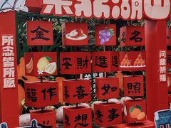 -鼎湖山风景区