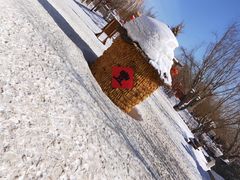 -葫芦古镇关东民俗雪乡