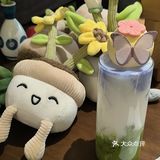 出片圣地确实不一般📸