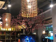 -香坝坝鲜鱼火锅(春熙路店)