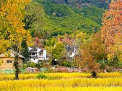 -塔川景区