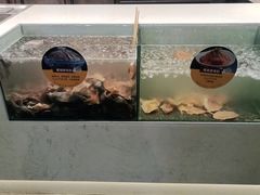 -香佰里鲜货火锅(佳乐金街店)