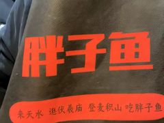 -胖子鱼·天水麻辣鱼火锅(秦州407店)