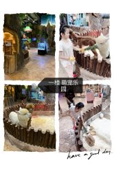 -宝燕乐园(闵行旗舰店)