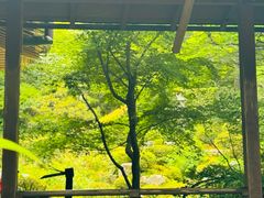 -三千院