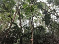 -南岗山公园