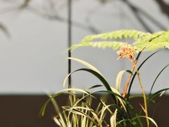 -会仙楼(金融街店)