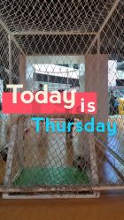 -北京科学中心儿童乐园