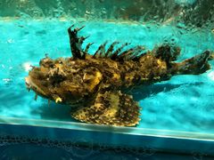 -学府海鲜批发市场