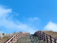 -大围山国家森林公园