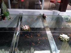 -大塘金香草谷
