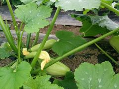 android_upload_pic-上海多利农业发展有限公司