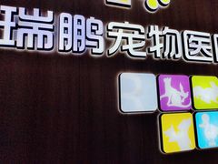 -瑞鹏宠物医院·宠保定点·心脏科·内科(御桥分院)