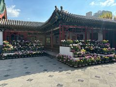 -迎泽公园