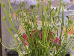 -锦江之星(南京新街口店)