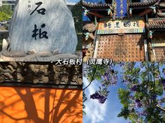 -西昌邛海湿地