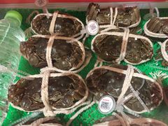 -锦粤宫·精致粤菜(深圳北站店)