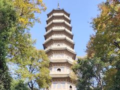 -灵谷景区