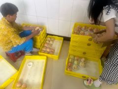 -老袁家蜜桃农场·阳山水蜜桃