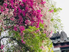 -深圳国际园林花卉博览园