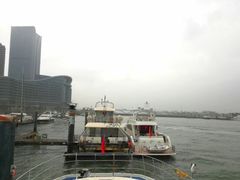 -渡海小渔村.老辈日照菜