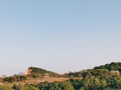 -东莞植物园