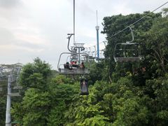 -圣淘沙天际线斜坡滑车