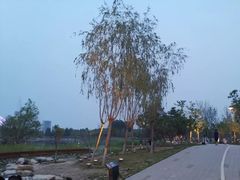 -十渡东湖港风景区