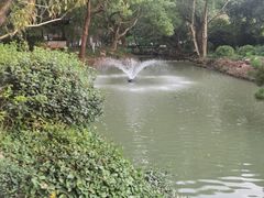-上海醉白池公园