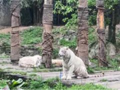 -贵州森林野生动物园
