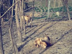 景点-溱湖国家湿地公园