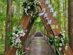 -黄海国家森林公园