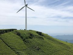 -东白山