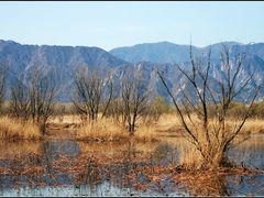 -野鸭湖国家湿地公园