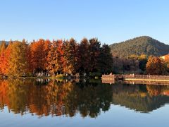 -浙江农林大学(东湖校区)