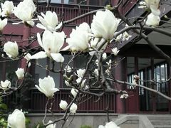 -苏州吴宫泛太平洋酒店