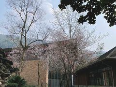 -中铁花水湾温泉酒店(大邑店)