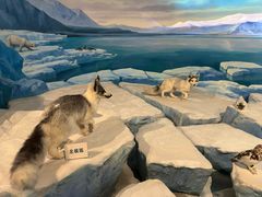 -陕西自然博物馆